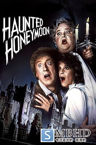  Haunted.Honeymoon.1986.1080p.BluRay.x264-SADPANDA 6.55GB-1.jpg