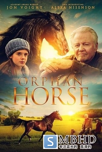  Orphan.Horse.2018.1080p.BluRay.REMUX.AVC.DTS-HD.MA.5.1-FGT 22.13GB-1.jpg