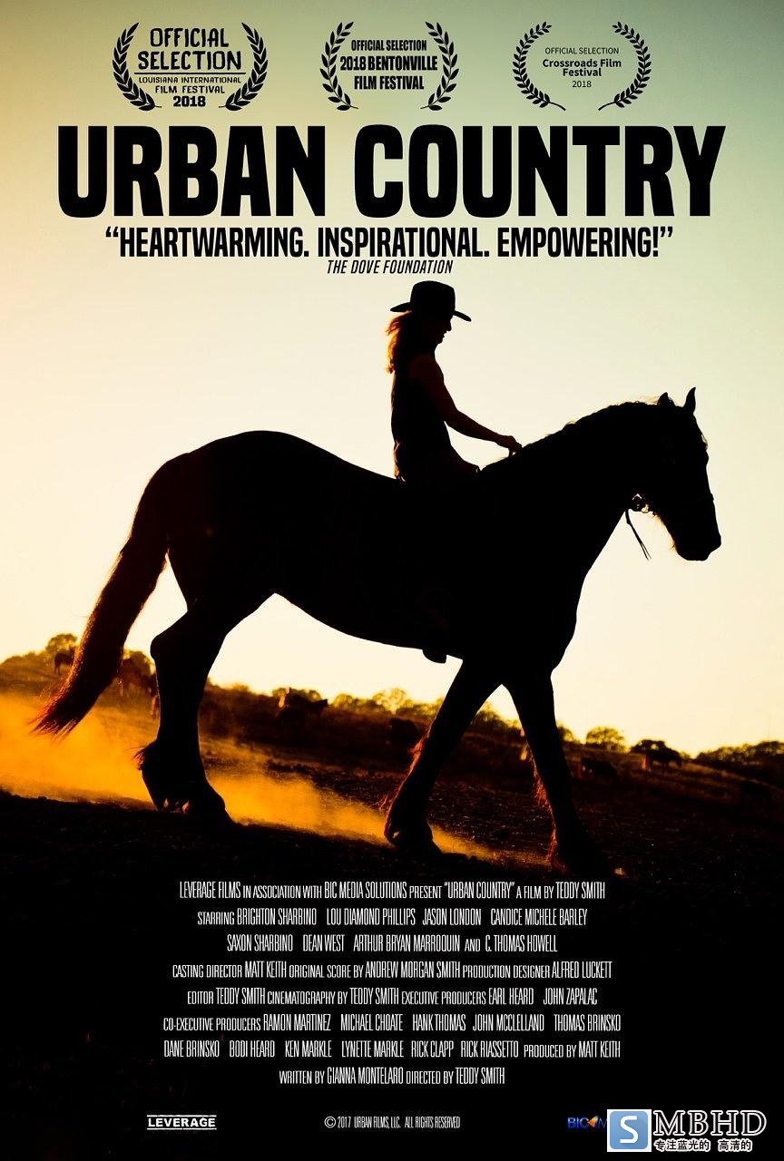  Urban.Country.2018.1080p.BluRay.REMUX.MPEG-2.DTS-HD.MA.5.1-FGT 12.85GB-1.png