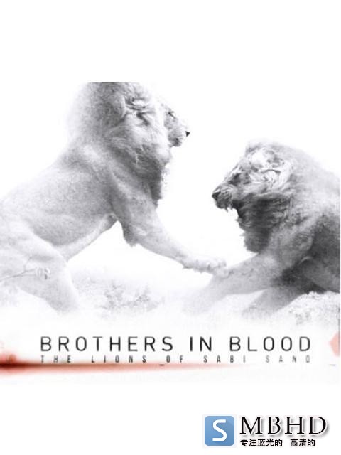 ʨ֮· Brothers.In.Blood.The.Lions.Of.Sabi.Sand.2015.1080p.AMZN.WEBRip.DDP2.0.x264-1.png