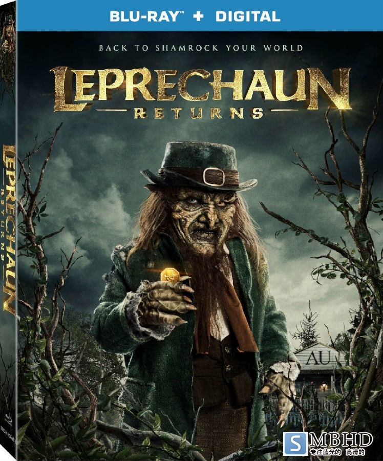 Leprechaun.Returns.2019.1080p.Blu-ray.HEVC.DTS-HDMA.5.1-DDR 5.67G-1.jpg