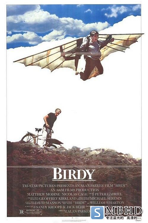 /׷ Birdy.1984.1080p.BluRay.REMUX.AVC.DTS-HD.MA.2.0-FGT 21.13GB-1.png
