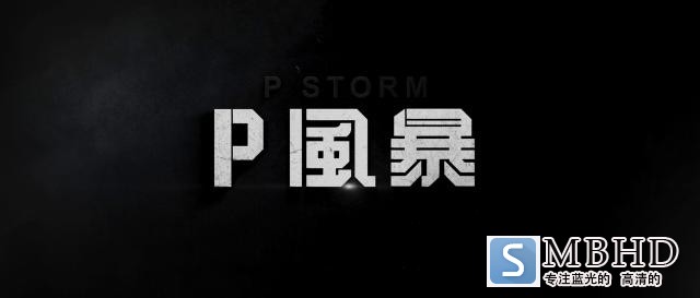 PL P.Storm.2019.CHINESE.720p.BluRay.X264-WiKi 4.73GB-2.png