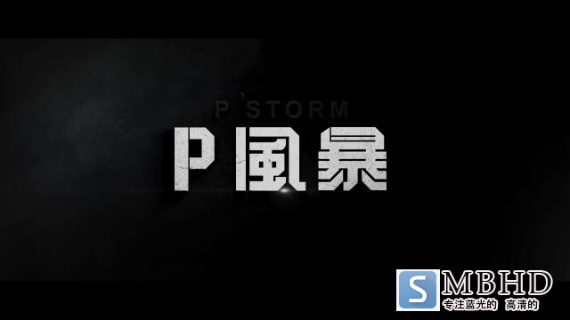 PL P.Storm.2019.CHINESE.1080p.BluRay.AVC.TrueHD.7.1.Atmos-FGT 21.36GB-2.png