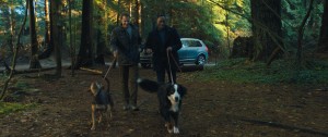 һĻؼ·[Ļ]A Dogs Way Home 2019 1080p BluRay x264-WiKi 11.4G-16.jpg