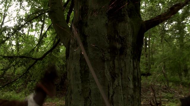 ޱ: Robin.Hood.Ghosts.Of.Sherwood.2012.1080p.BluRay.x264.DD5.1-FGT 7.89GB-2.png