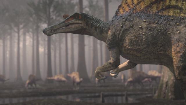 :ռɱ Planet.Dinosaur.2012.1080p.BluRay.x264-MOOVEE 4.37GB-2.png