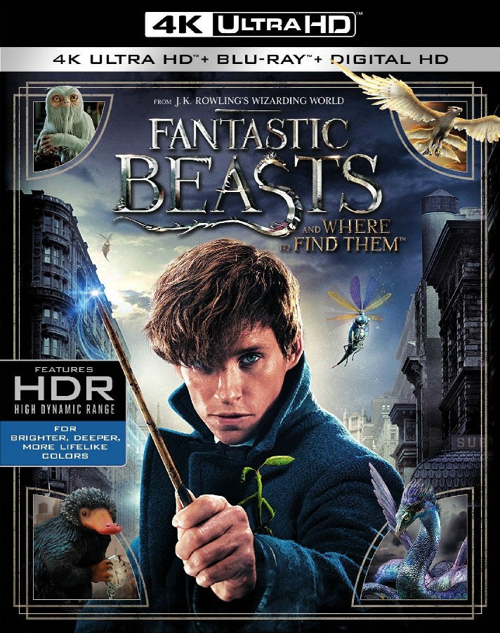 涯 Fantastic Beasts 2016 Multi 2160p UHD BluRay HEVC HDR Atmos7.1-DDR 36.58-1.jpg