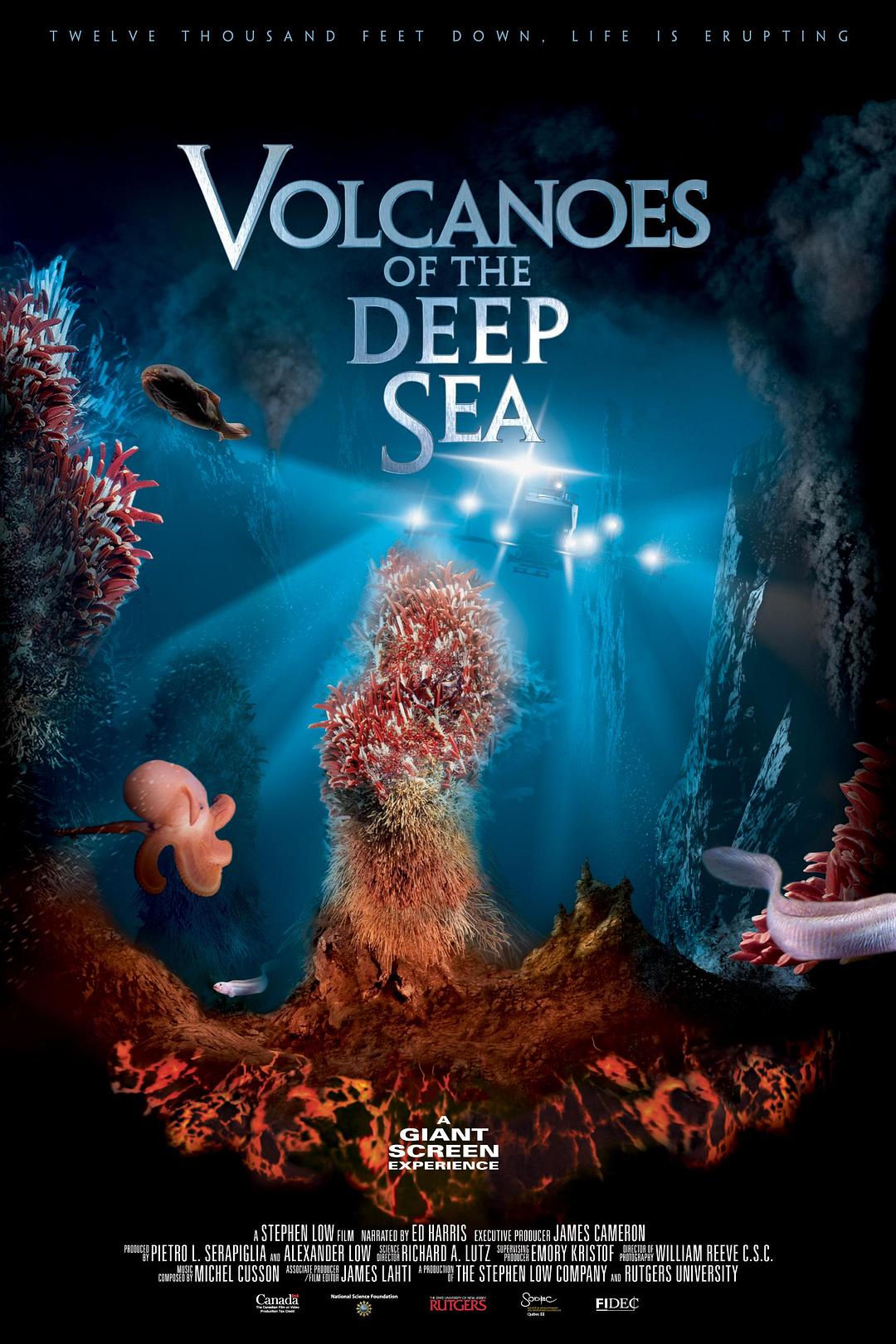׻ɽ IMAX.Volcanoes.Of.The.Deep.Sea.2004.1080p.BluRay.x264-PUZZLE 4.36GB-1.png