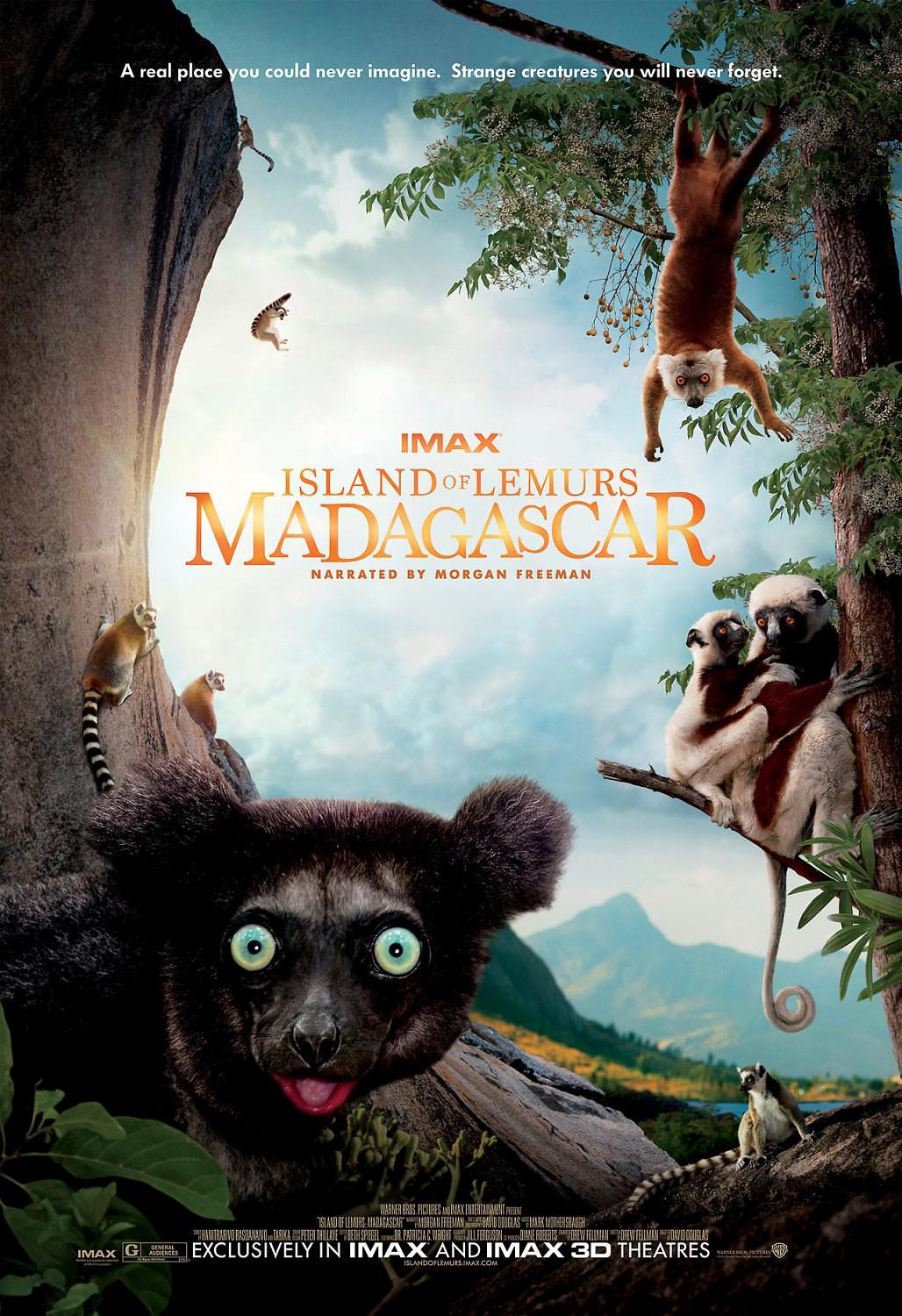 ˹:֮ Island.of.Lemurs.Madagascar.2014.1080p.BluRay.x264-NODLABS 3.28GB-1.png