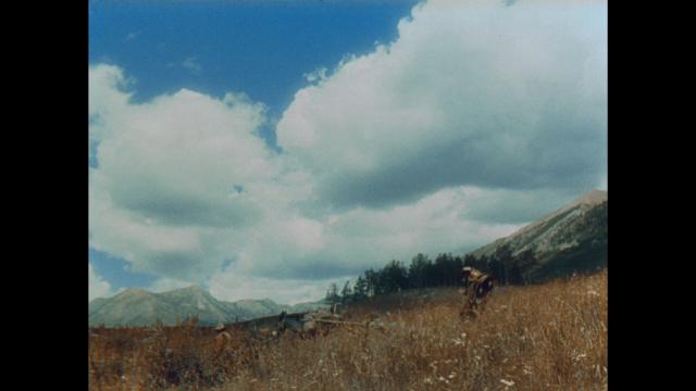ձ˵ټ The.Cariboo.Trail.1950.1080p.BluRay.REMUX.AVC.DTS-HD.MA.2.0-FGT 16.01GB-4.png