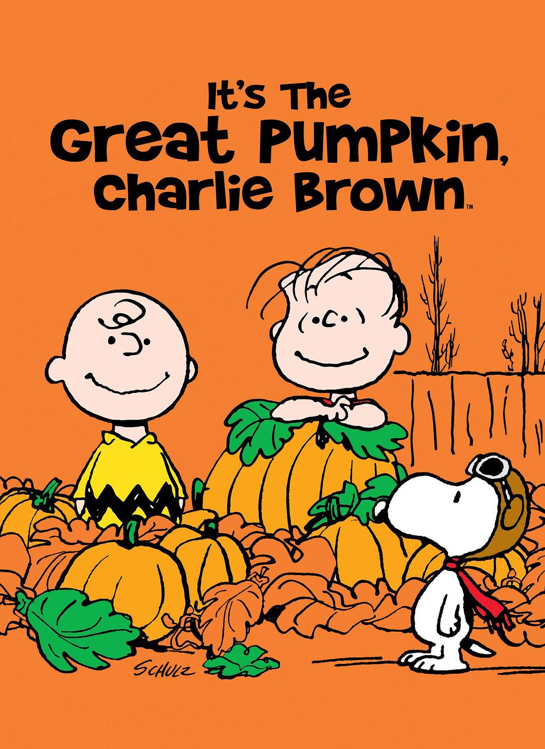 ϹϴŶ ʣ/ʷŬȿͨ:ʥϹͷ Its.The.Great.Pumpkin.Charlie.Brown.1966.1080p.BluR-1.png