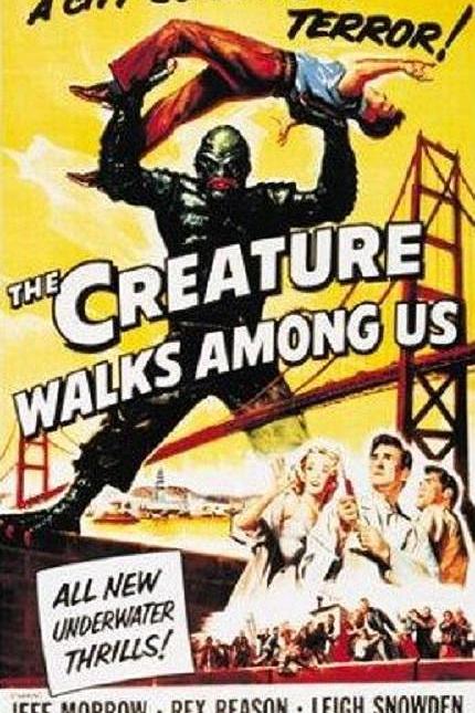 ں֮/֮ The.Creature.Walks.Among.Us.1956.1080p.BluRay.x264.DTS-FGT 7.-1.png