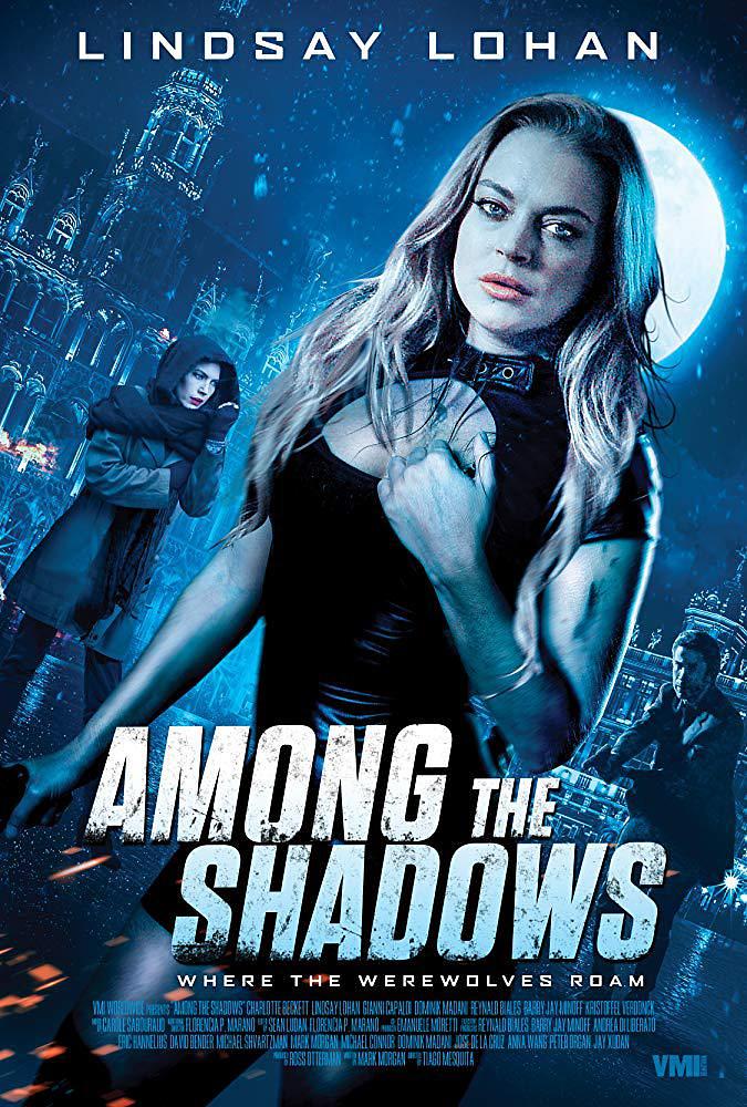 Ӱ֮ Among.The.Shadow.2019.720p.BluRay.x264-NTROPiC 4.36GB-1.png
