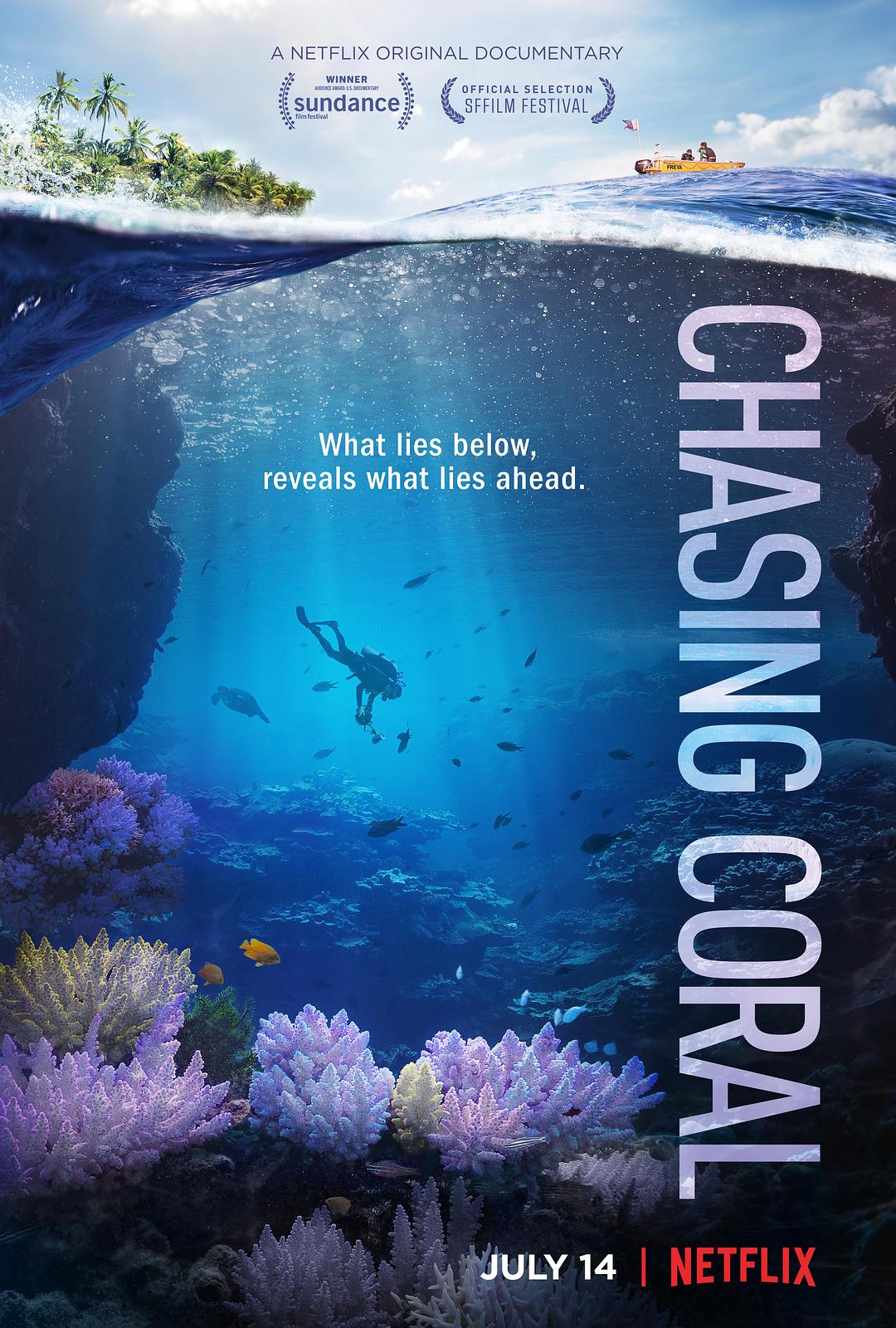 ׷ɺ Chasing.Coral.2017.1080p.WEBRip.x264-RARBG 1.70GB-1.png
