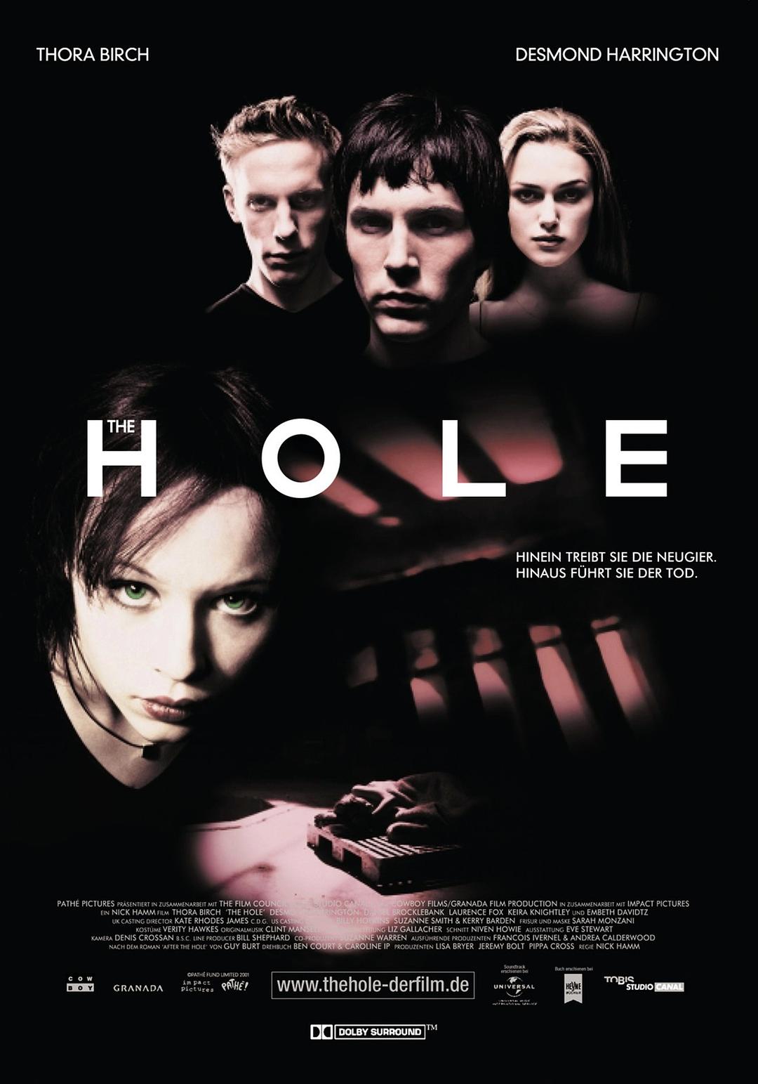 /׶ The.Hole.2001.1080p.BluRay.REMUX.AVC.DTS-HD.MA.5.1-FGT 19.63GB-1.png