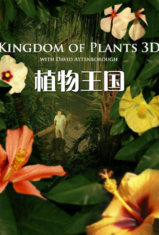 植物王国kingdomofplants3d