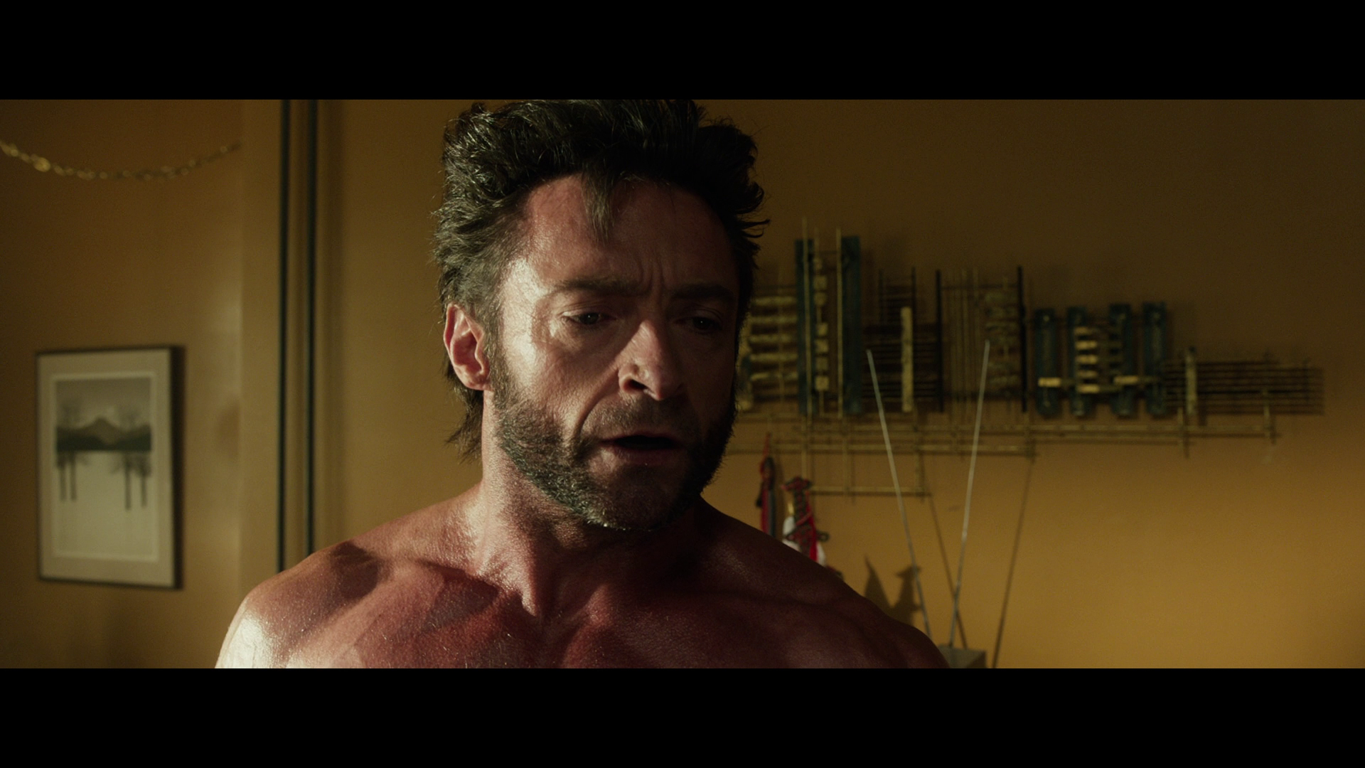 Xս:תδ/Xսǰ2:δ X-Men.Days.of.Future.Past.2014.1080p.BluRay.REMUX.AVC.DTS-H-5.png