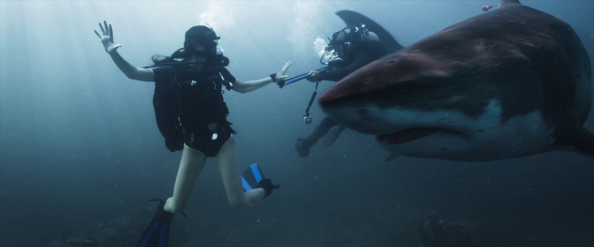 深海狂鲨3 Deep.Blue.Sea.3.2020.1080p.BluRay.x264.DTS-HD.MA.5.1-FGT 11.07GB-2.png