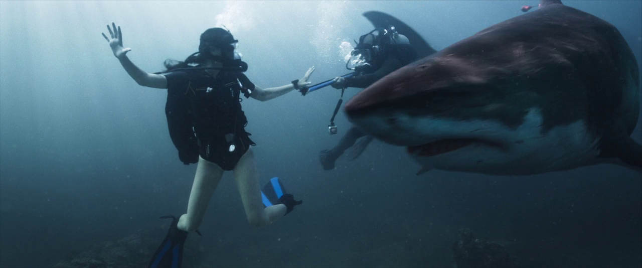 深海狂鲨3 Deep.Blue.Sea.3.2020.720p.BluRay.x264.DTS-FGT 4.91GB-2.png