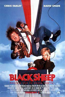 /ðƴ Black.Sheep.1996.1080p.BluRay.x264-AVCHD 7.95GB-1.jpeg