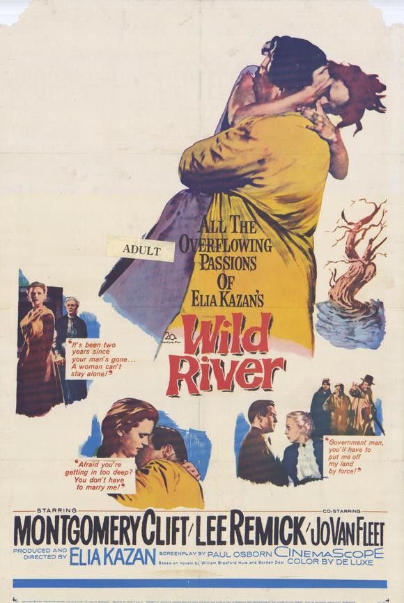  Wild.River.1960.1080p.BluRay.x264-PSYCHD 7.65GB-1.jpeg