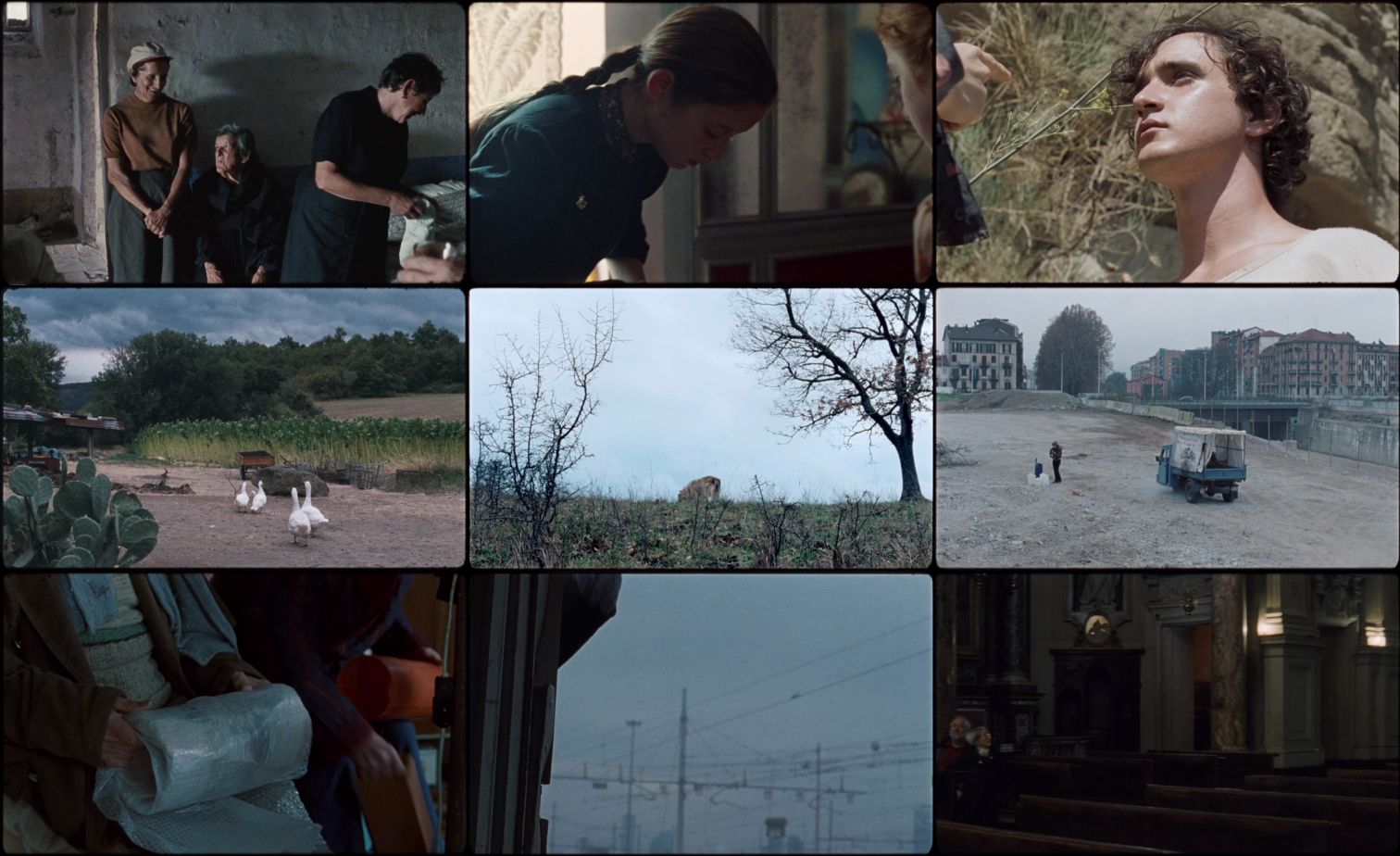Ҹ Happy.as.Lazzaro.2018.LIMITED.1080p.BluRay.x264-USURY 9.85GB-2.png