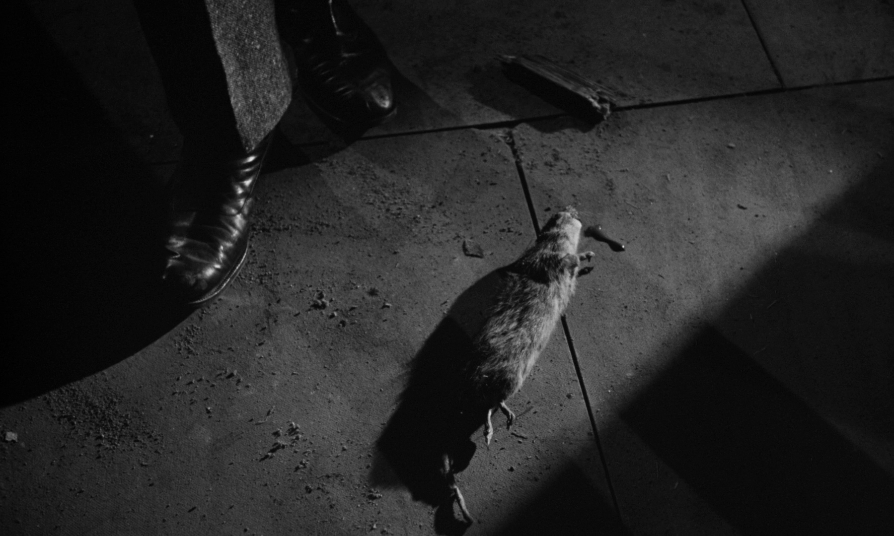 èӰ The.Shadow.of.the.Cat.1961.1080p.BluRay.x264.DTS-FGT 7.15GB-4.png