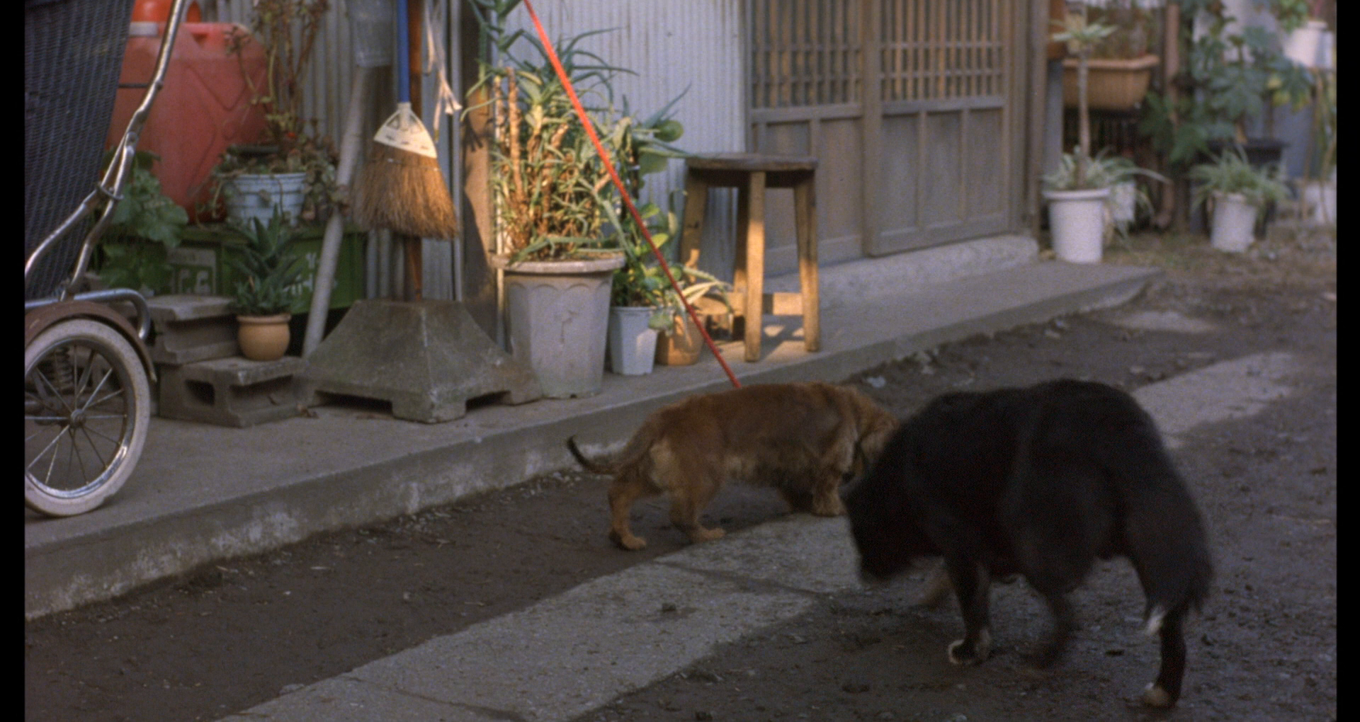 Jose뻢 Josee.the.Tiger.and.the.Fish.2003.JAPANESE.1080p.BluRay.x264-WiKi 13.5-4.png