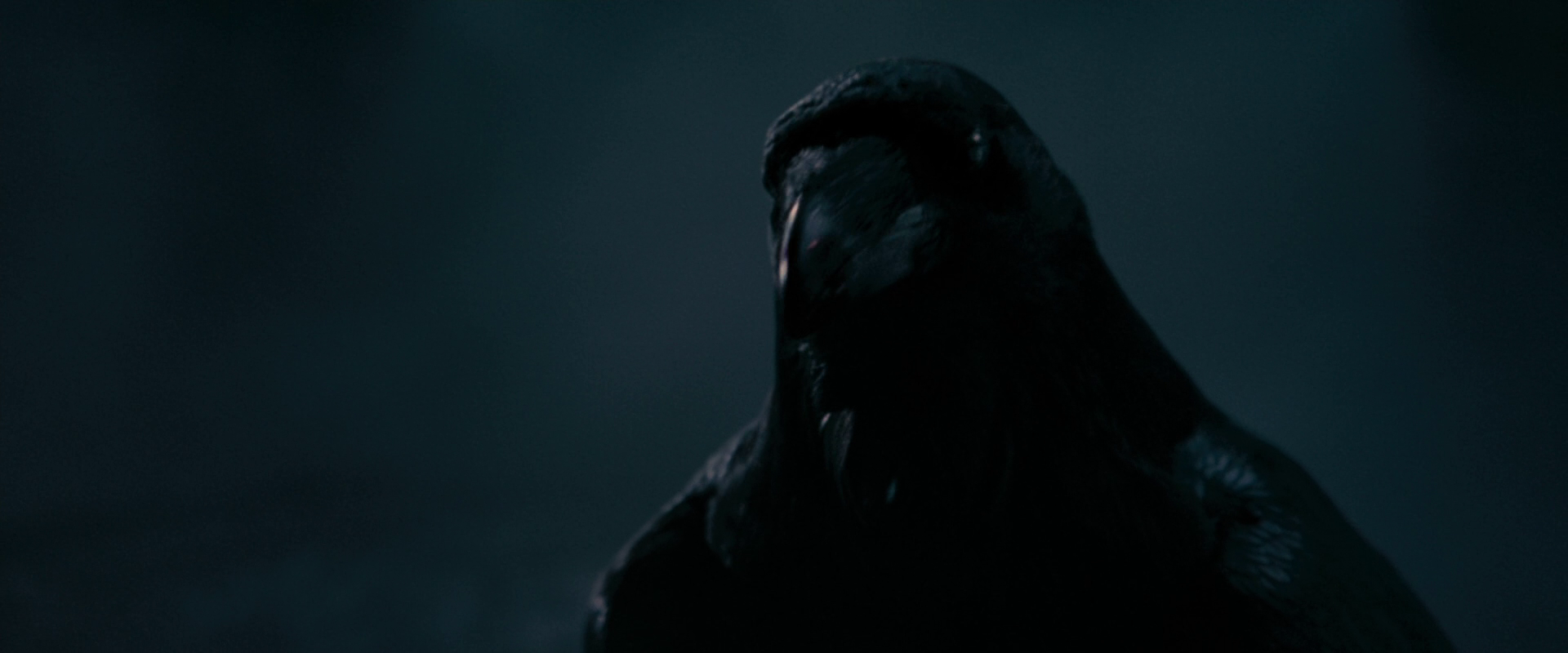 ѻ/:ѻ The.Raven.2012.1080p.BluRay.x264.DTS-FGT 10.46GB-2.png