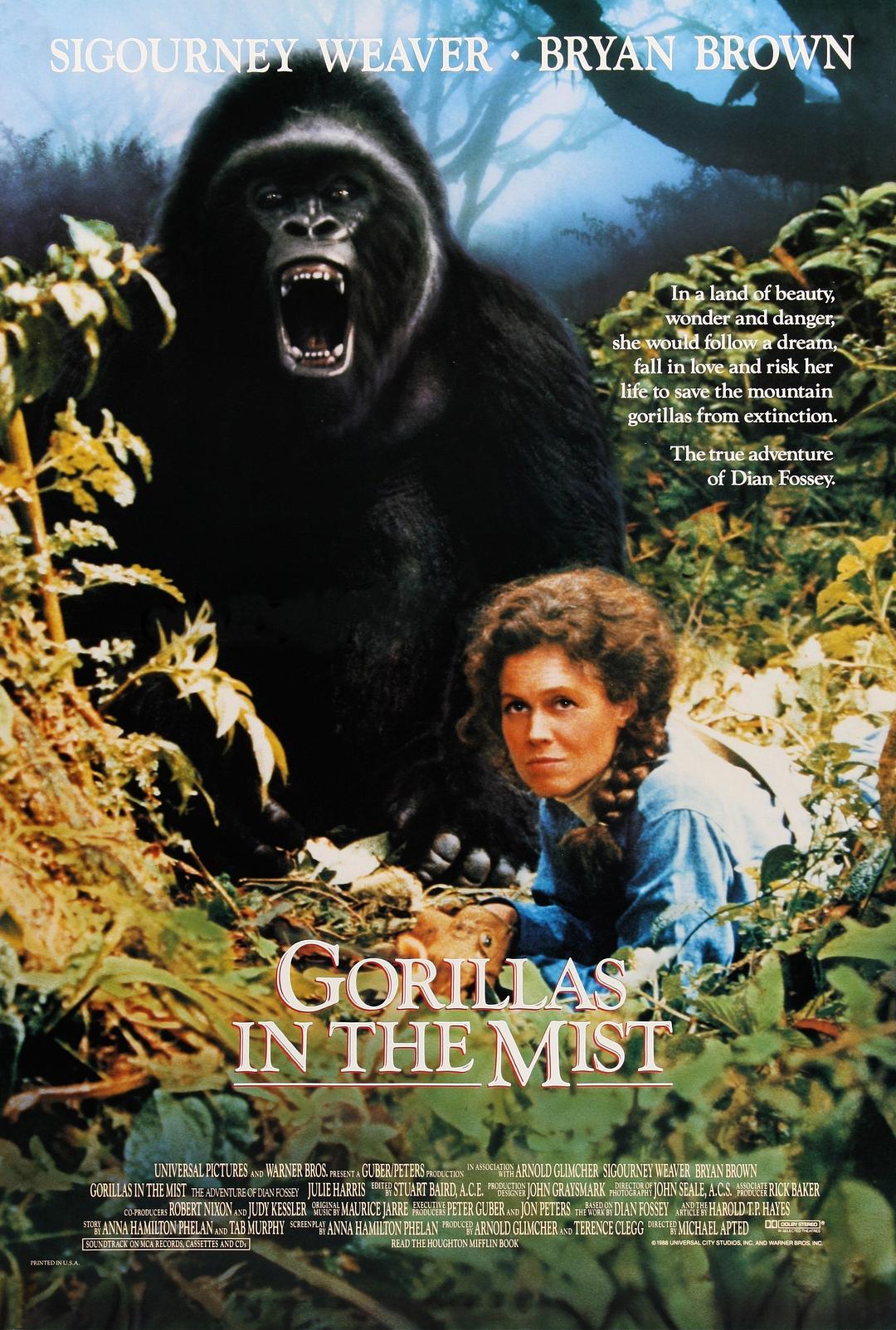ɭʮ/еĴ Gorillas.In.The.Mist.1988.1080p.BluRay.x264-AMIABLE 11.04GB-1.png