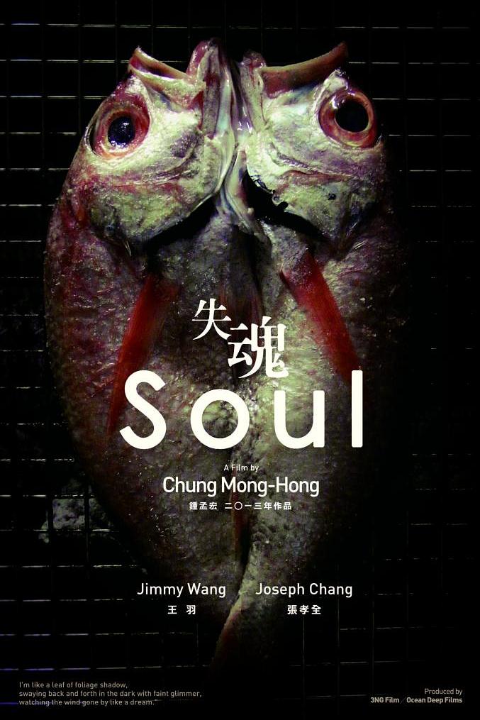ʧ Soul.2013.CHINESE.1080p.BluRay.x264.DTS-WiKi 11.09GB-1.png