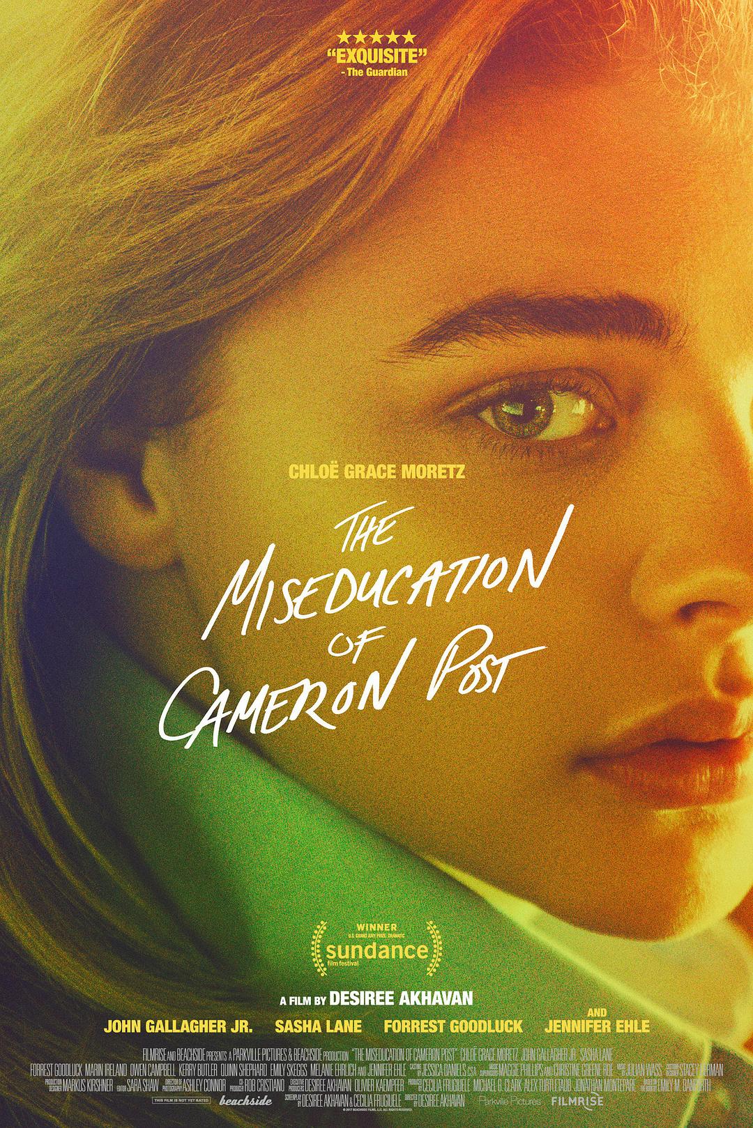 /÷׵Ĵ The.Miseducation.of.Cameron.Post.2018.1080p.BluRay.X264-AMIABLE 5.-1.png
