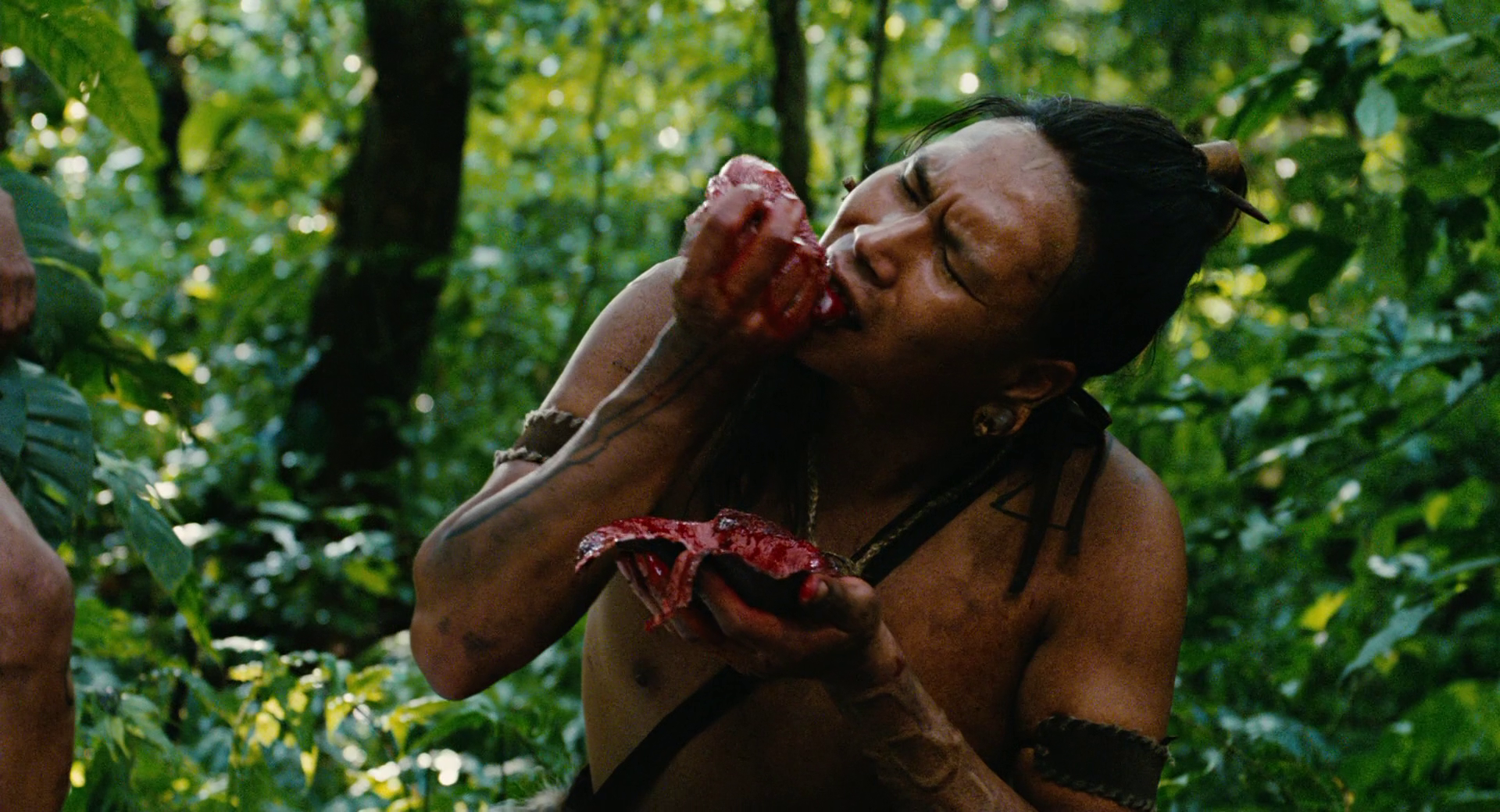 ʾ/ʾ¼ Apocalypto.2006.1080p.BluRay.x264.DTS-FGT 12.29GB-2.png