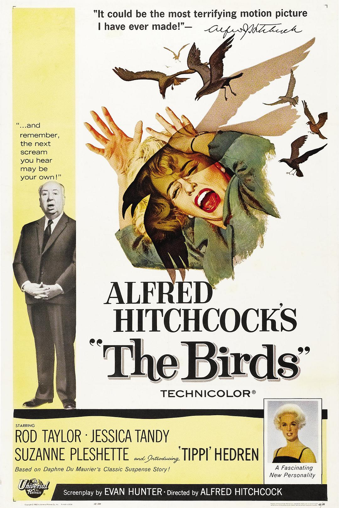 Ⱥ The.Birds.1963.1080p.BluRay.AVC.DTS-HD.MA.2.0-OLDHAM 41.08GB-1.jpeg