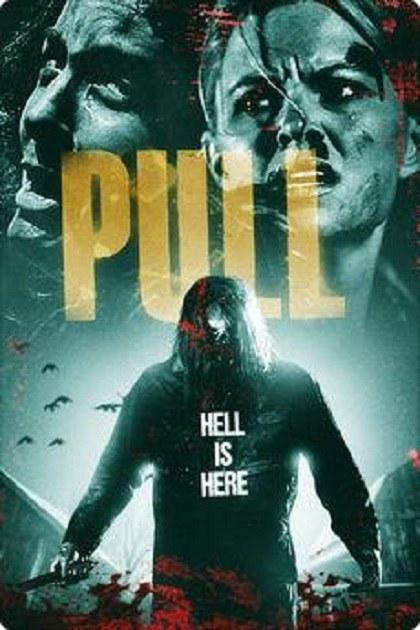  Pulled.to.Hell.2019.1080p.BluRay.x264.DTS-CHD 12.35GB-1.png