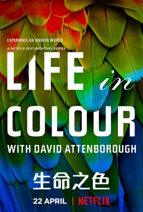 生命之色 - Life In Colour