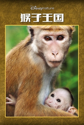 猴子王国 - Monkey Kingdom